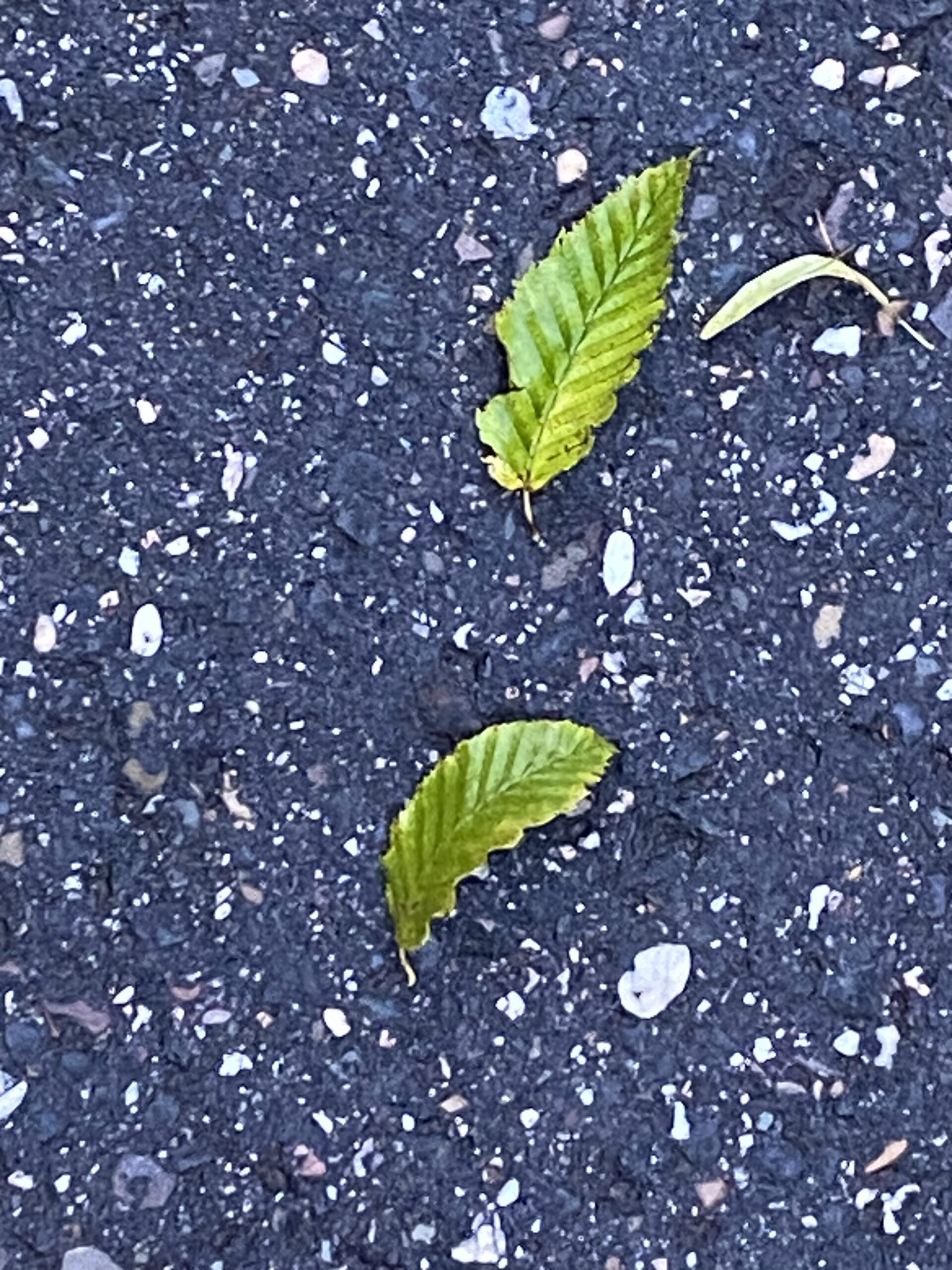 kleine Dinge lieben